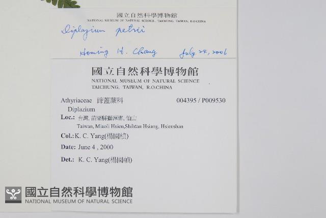 Accession Number:P009530 Collection Image, Figure 2, Total 5 Figures