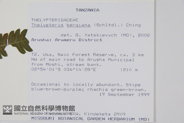 登錄號:P010060藏品圖，第2張