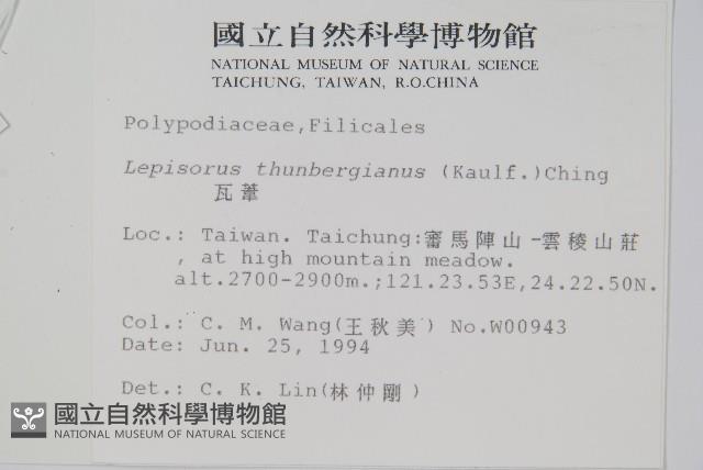 瓦葦藏品圖，第2張