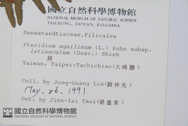 蕨藏品圖，第2張