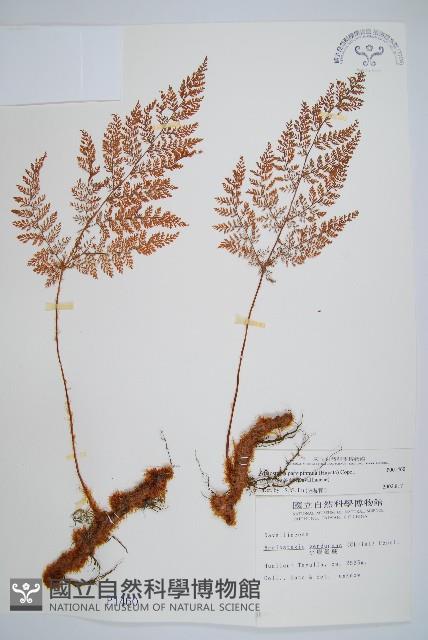 Accession Number:P001460 Collection Image, Figure 1, Total 5 Figures