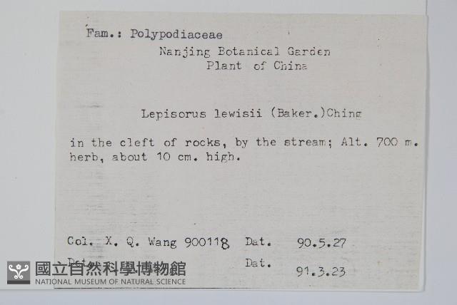 廬山瓦葦藏品圖，第2張