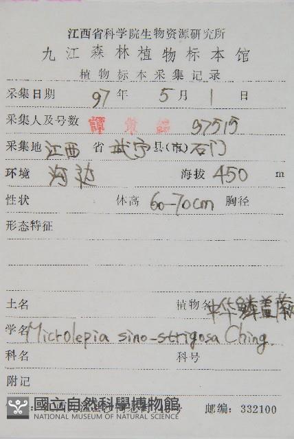 中華鱗蓋蕨藏品圖，第2張