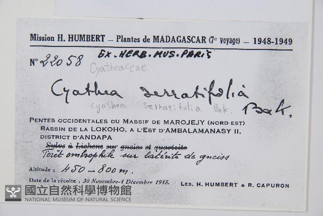 登錄號:P009860藏品圖，第2張