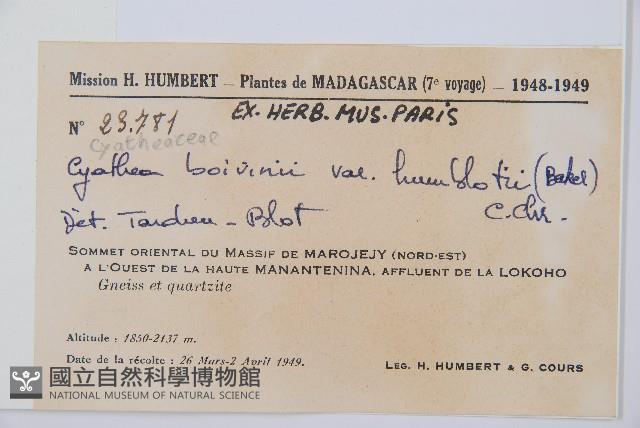 登錄號:P010260藏品圖，第1張