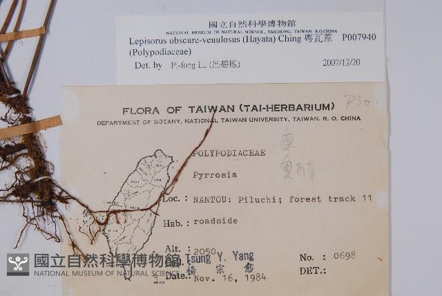 粵瓦葦藏品圖，第2張