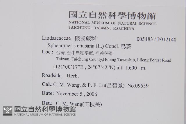 烏蕨藏品圖，第2張