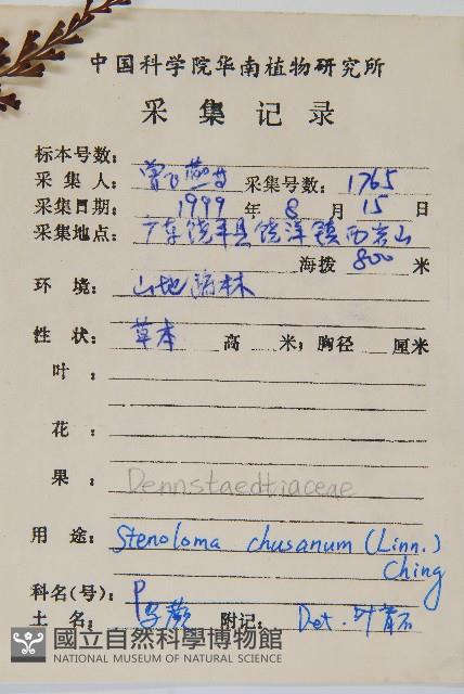 烏蕨藏品圖，第2張