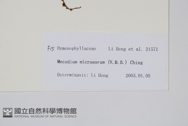 登錄號:P010740藏品圖，第2張