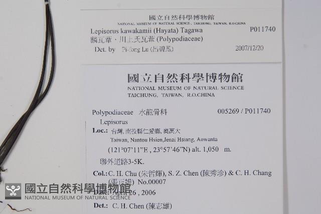 麟瓦葦、川上氏瓦葦藏品圖，第2張