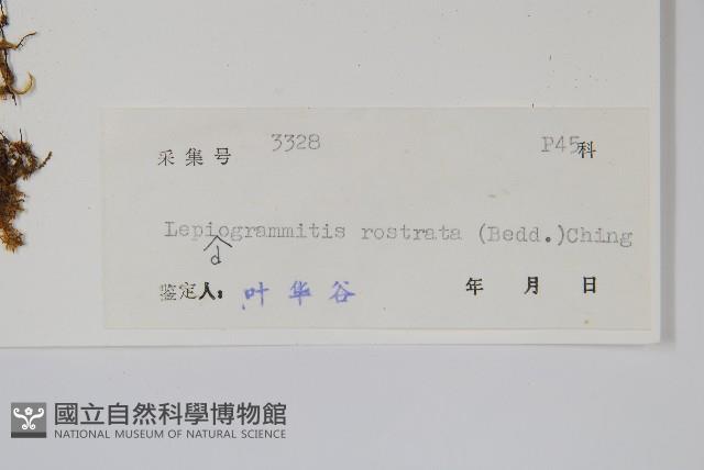 Accession Number:P004740 Collection Image, Figure 2, Total 2 Figures