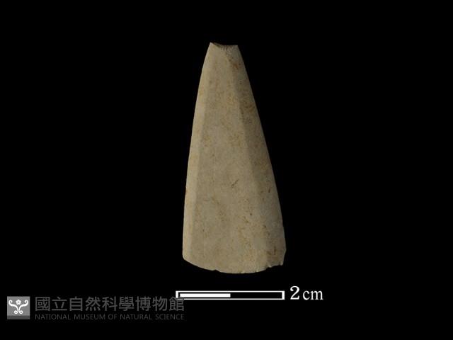 矛鏃形器藏品圖，第2張