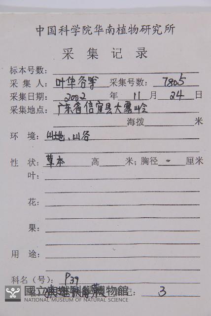 萊氏鐵角蕨藏品圖，第2張