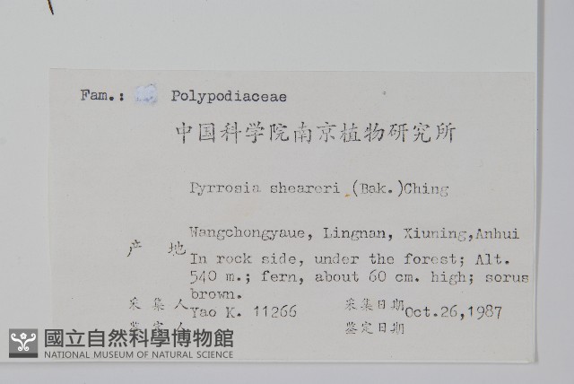 盧山石葦藏品圖，第2張