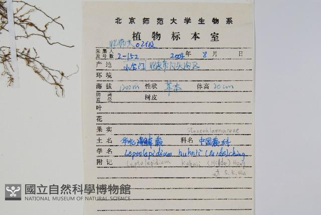 Accession Number:P011340 Collection Image, Figure 2, Total 2 Figures