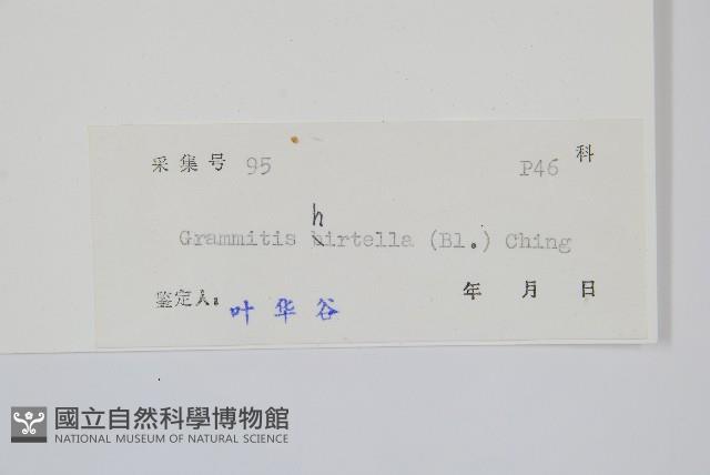 登錄號:P005340藏品圖，第2張