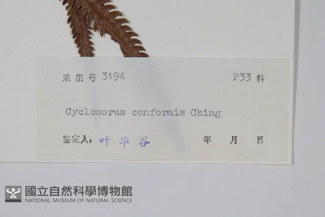 登錄號:P005440藏品圖，第2張