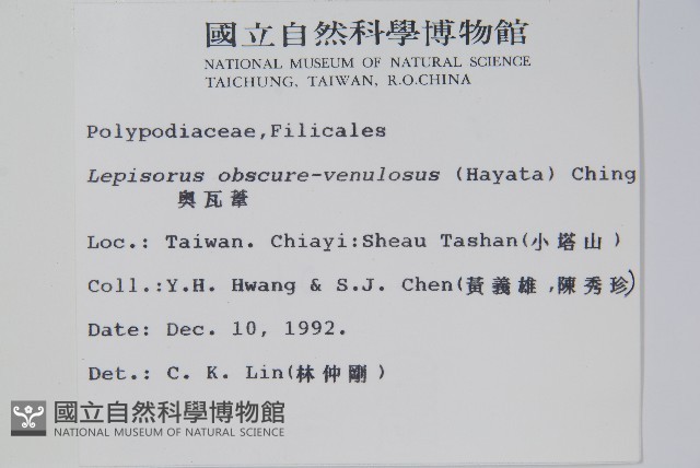 粵瓦葦藏品圖，第2張