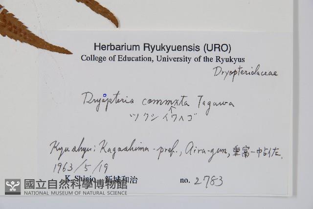 登錄號:P005840藏品圖，第2張