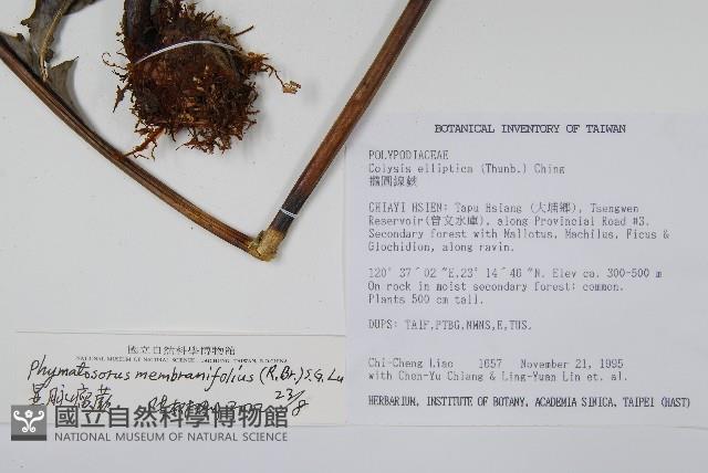 Accession Number:P003240 Collection Image, Figure 2, Total 8 Figures