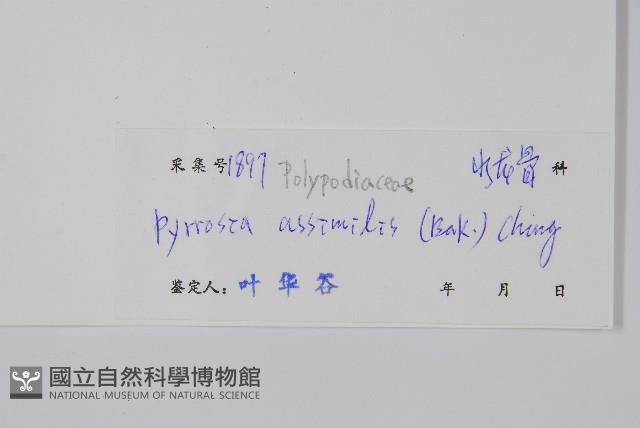 Accession Number:P004970 Collection Image, Figure 2, Total 2 Figures