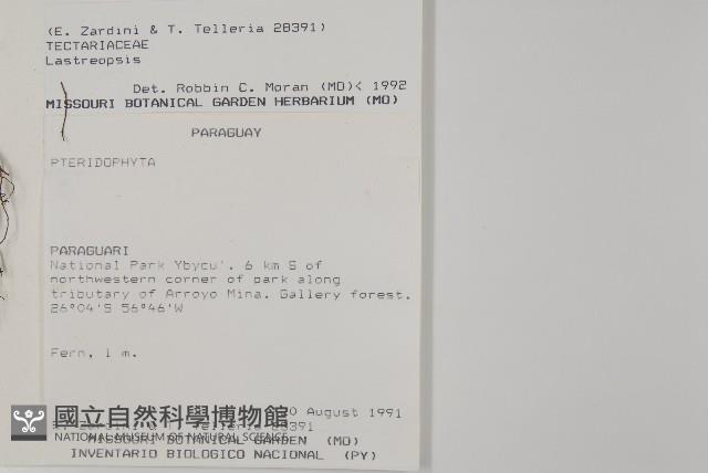 登錄號:P006070藏品圖，第2張