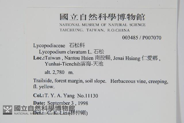 石松藏品圖，第2張