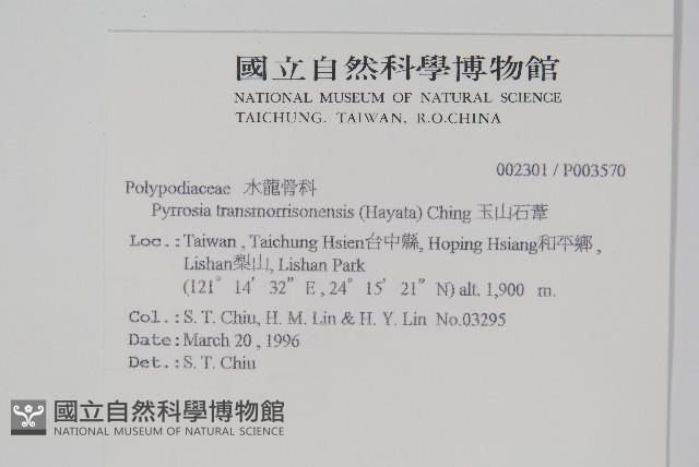 玉山石葦藏品圖，第2張