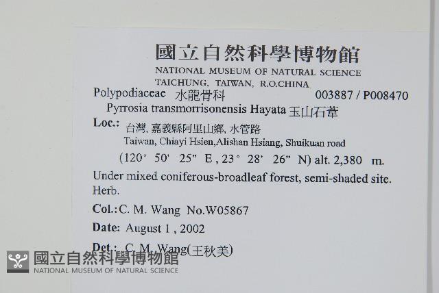 玉山石葦藏品圖，第2張