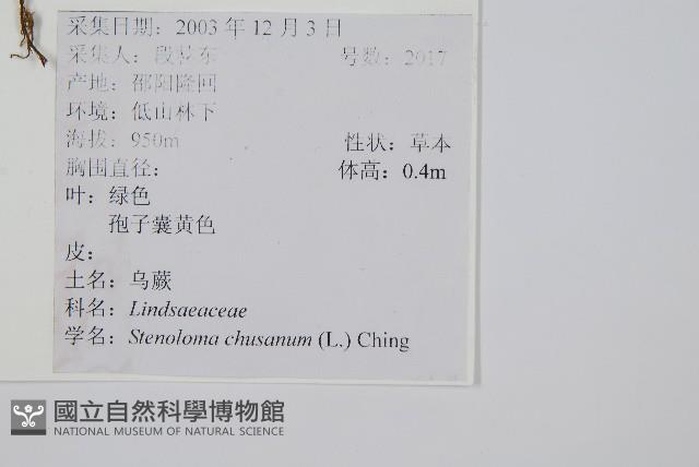 烏蕨藏品圖，第2張