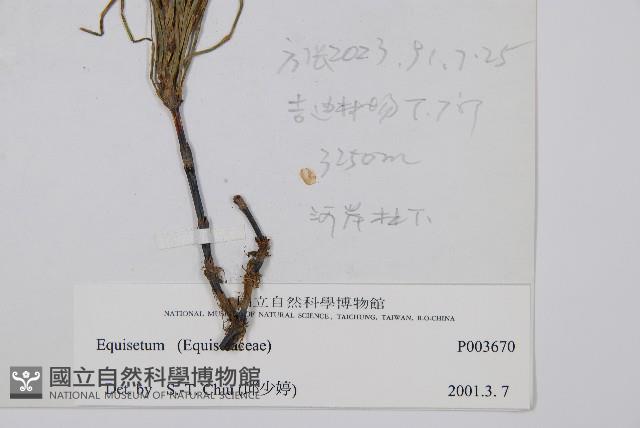 登錄號:P003670藏品圖，第2張