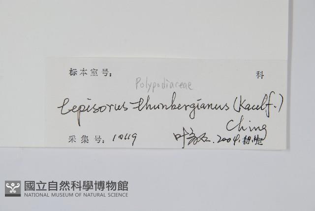 瓦葦藏品圖，第2張