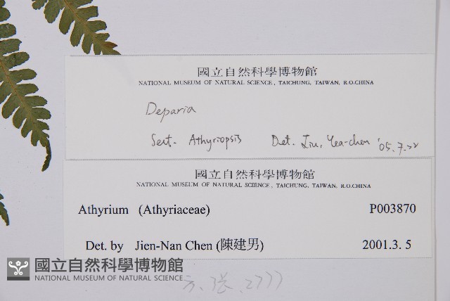 登錄號:P003870藏品圖，第2張