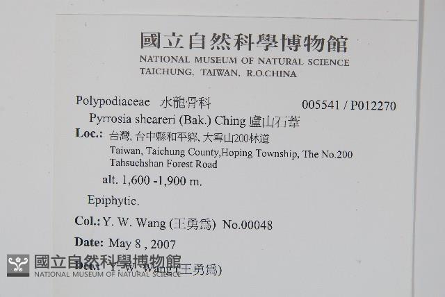 盧山石葦藏品圖，第2張