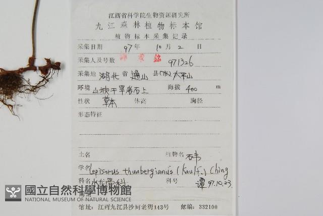 瓦葦藏品圖，第2張