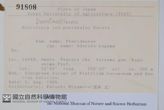 登錄號:P012780藏品圖，第2張