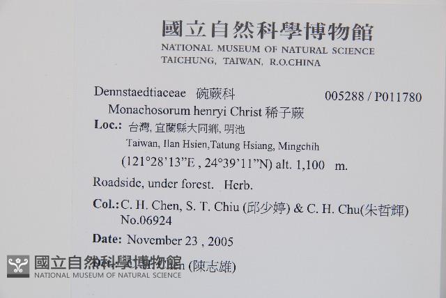 稀子蕨藏品圖，第2張