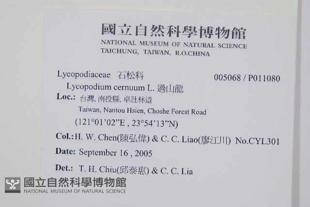 過山龍藏品圖，第2張