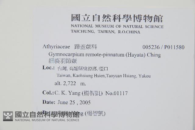 Accession Number:P011580 Collection Image, Figure 2, Total 5 Figures