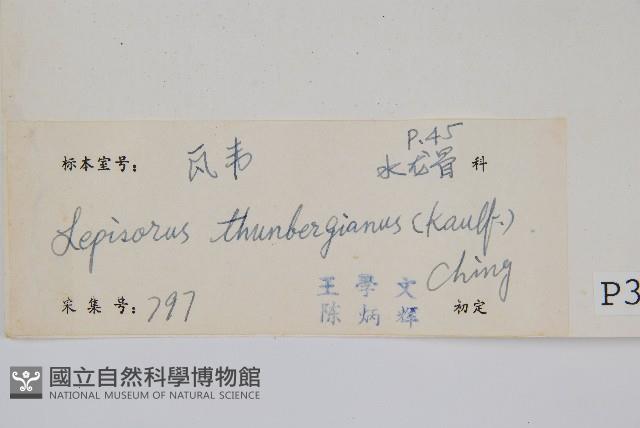 瓦葦藏品圖，第2張