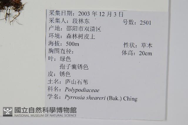 石葦藏品圖，第2張