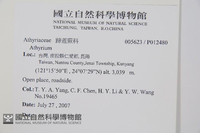 登錄號:P012480藏品圖，第2張