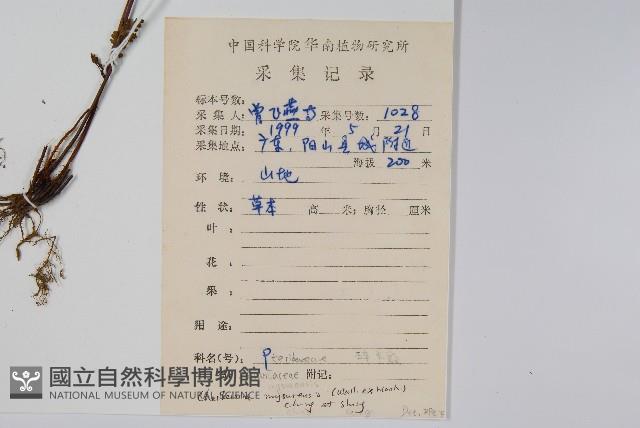 Accession Number:P008380 Collection Image, Figure 2, Total 2 Figures