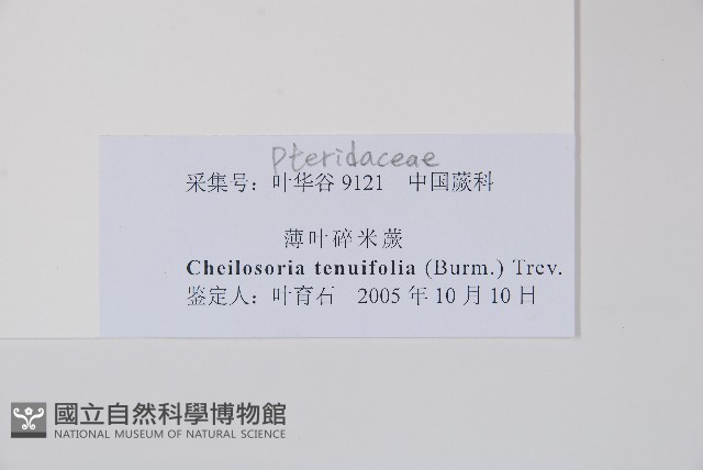 登錄號:P012880藏品圖，第2張