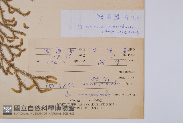 過山龍藏品圖，第2張