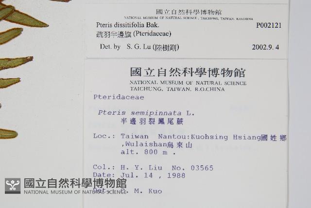 疏羽半邊旗藏品圖，第2張