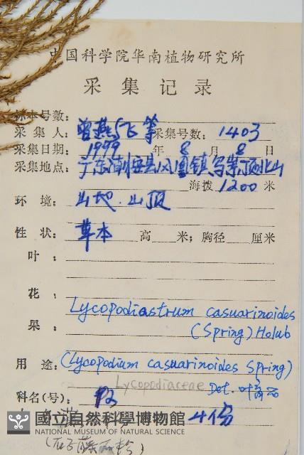 藤石松藏品圖，第2張