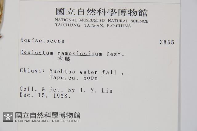 木賊藏品圖，第2張