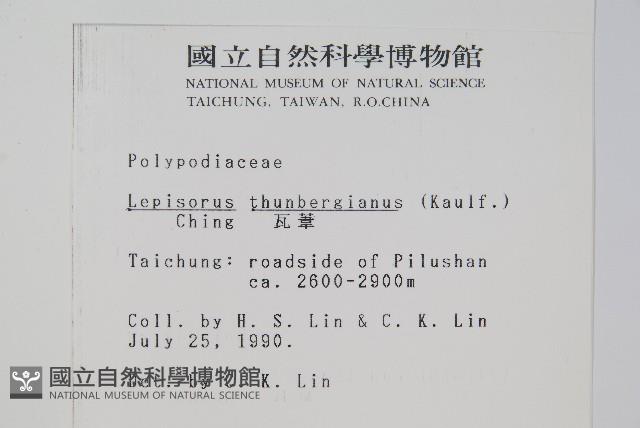 瓦葦藏品圖，第2張