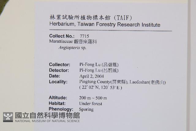 登錄號:P011021藏品圖，第2張